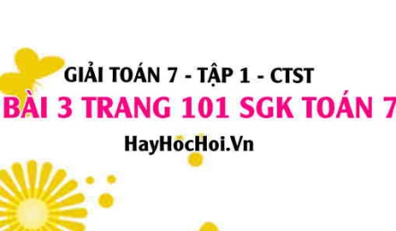 Giải bài 3 trang 101 Toán 7 Tập 1 SGK Chân trời sáng tạo